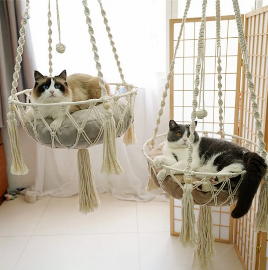 Whisker Hammock